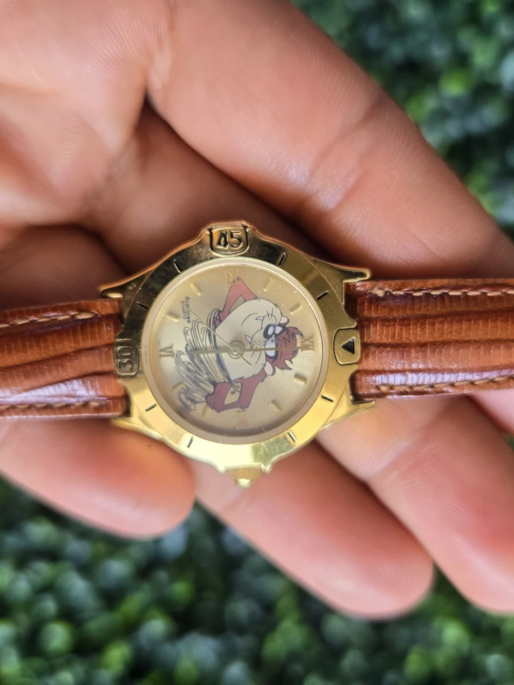 Looney Tunes Gold-Tone Watch with Brown Leather Strap